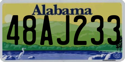 AL license plate 48AJ233