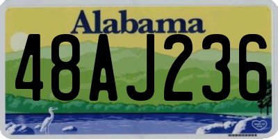 AL license plate 48AJ236