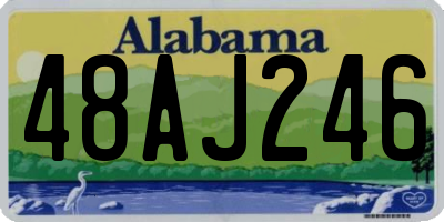 AL license plate 48AJ246