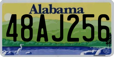 AL license plate 48AJ256
