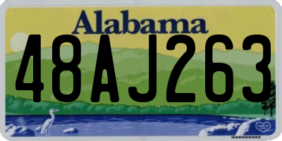 AL license plate 48AJ263