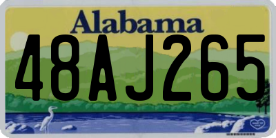 AL license plate 48AJ265