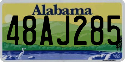 AL license plate 48AJ285