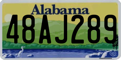 AL license plate 48AJ289