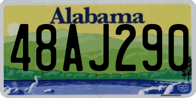 AL license plate 48AJ290