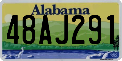 AL license plate 48AJ291