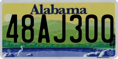 AL license plate 48AJ300