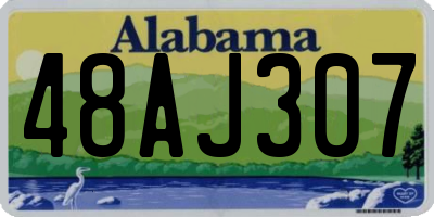 AL license plate 48AJ307