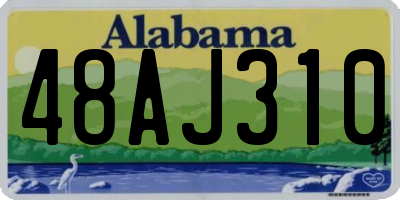 AL license plate 48AJ310