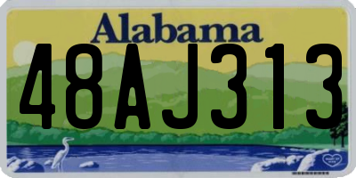 AL license plate 48AJ313
