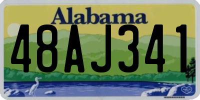 AL license plate 48AJ341
