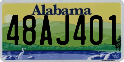 AL license plate 48AJ401