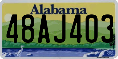 AL license plate 48AJ403
