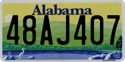AL license plate 48AJ407