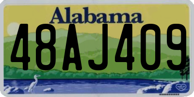 AL license plate 48AJ409