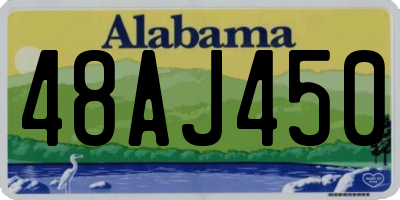 AL license plate 48AJ450