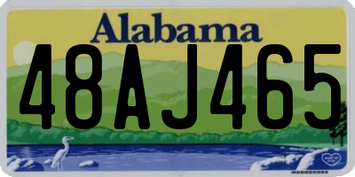 AL license plate 48AJ465