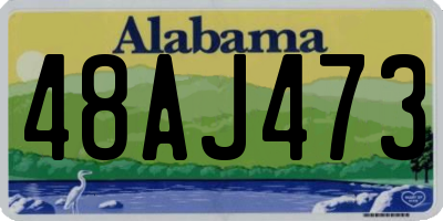 AL license plate 48AJ473