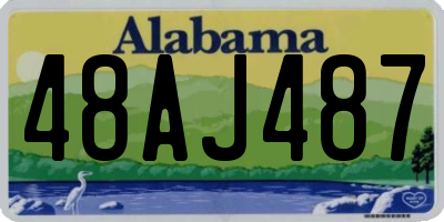 AL license plate 48AJ487