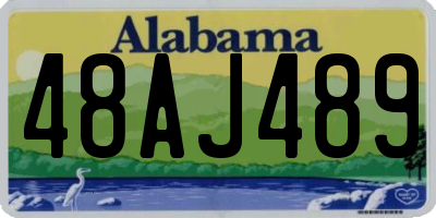 AL license plate 48AJ489