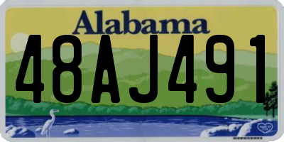AL license plate 48AJ491