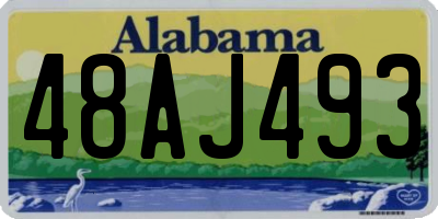 AL license plate 48AJ493