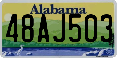 AL license plate 48AJ503