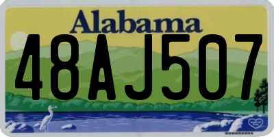 AL license plate 48AJ507