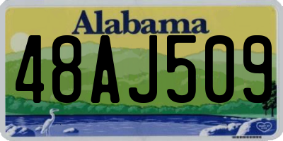 AL license plate 48AJ509