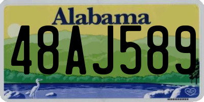 AL license plate 48AJ589