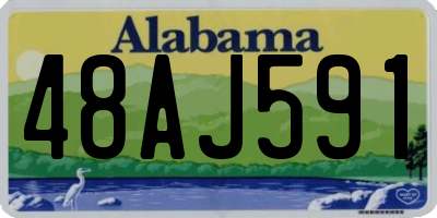 AL license plate 48AJ591