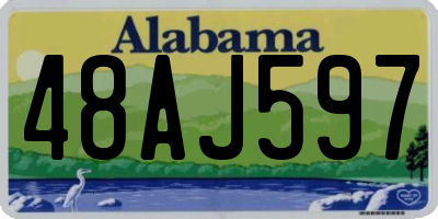AL license plate 48AJ597
