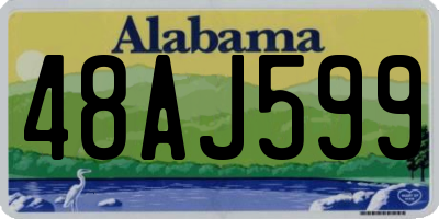 AL license plate 48AJ599