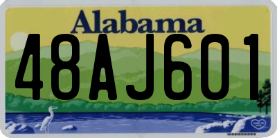 AL license plate 48AJ601