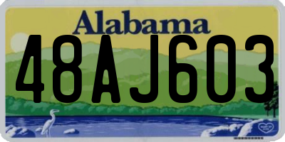 AL license plate 48AJ603