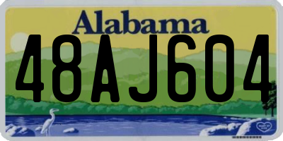 AL license plate 48AJ604