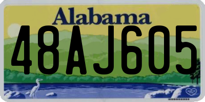 AL license plate 48AJ605