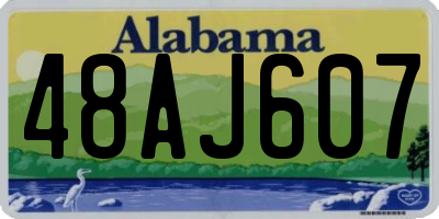 AL license plate 48AJ607