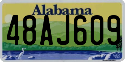 AL license plate 48AJ609