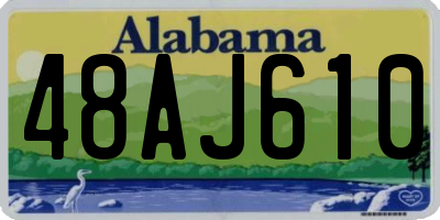 AL license plate 48AJ610