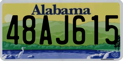 AL license plate 48AJ615
