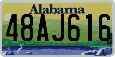 AL license plate 48AJ616