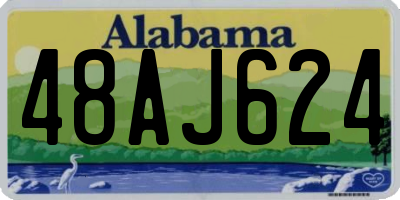 AL license plate 48AJ624