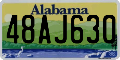 AL license plate 48AJ630