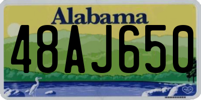 AL license plate 48AJ650