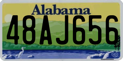 AL license plate 48AJ656