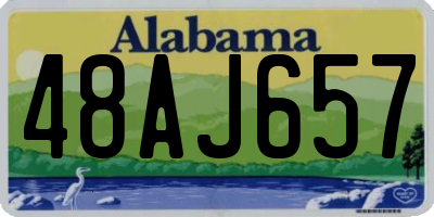 AL license plate 48AJ657