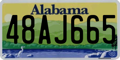 AL license plate 48AJ665