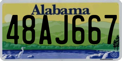 AL license plate 48AJ667
