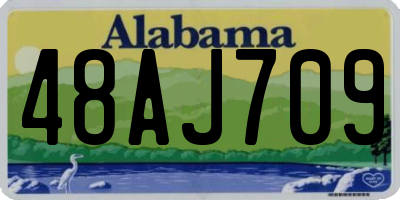 AL license plate 48AJ709
